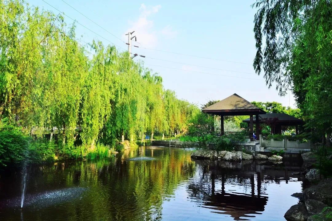 微信图片_20200717111505.jpg 图片